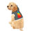 Thumbnail: New Hampshire Rainbow Pet Hoodie - Dark Grey