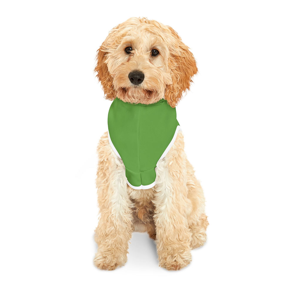 Thumbnail: New Hampshire Rainbow Pet Hoodie - Green