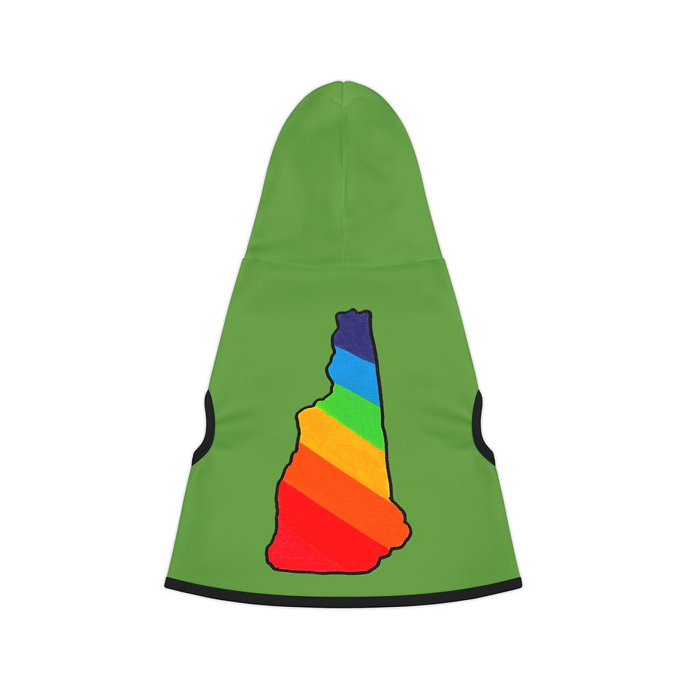 Thumbnail: New Hampshire Rainbow Pet Hoodie - Green