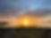 IMG_6870.jpeg