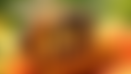 Pilates Soulful Sunday: The Tiny Creatures That Feed the World