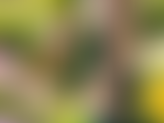 Pilates Soulful Sunday Blog: When Helping Hurts