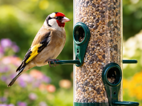 Pilates Soulful Sunday Blog: When Helping Hurts