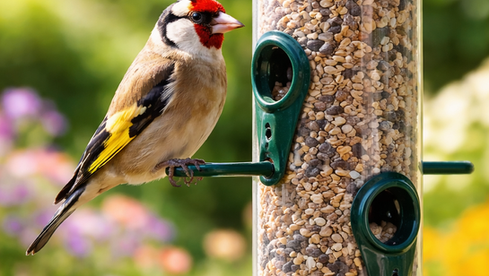 Pilates Soulful Sunday Blog: When Helping Hurts