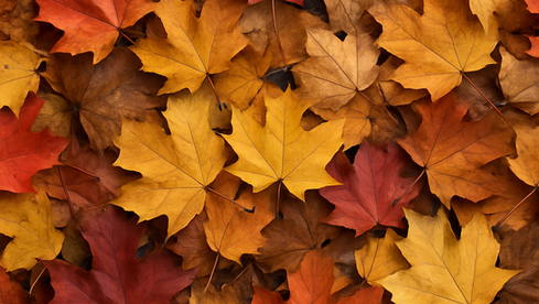 Self Care Saturday: Stepping into autumn with fresh air and movement
