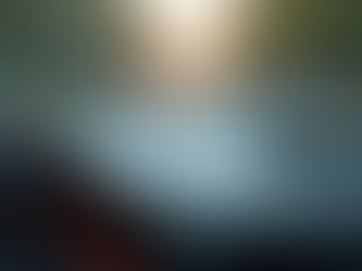 Understanding Auto Insurance Rates