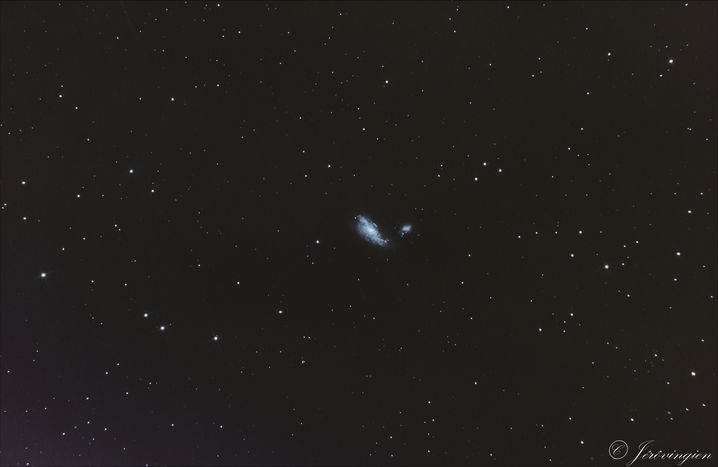 NGC 4490, Galaxie du Cocon (Mars 2020).jpg