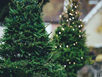 It's beginning to look a lot like...