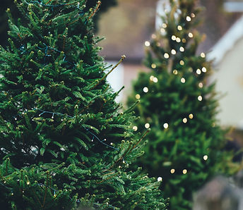 Weihnachtsbeleuchtung