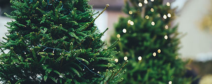 Christmas Lights