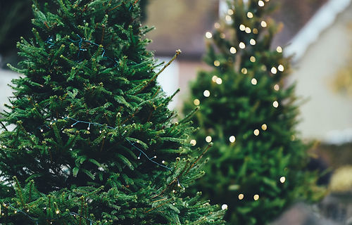 Christmas Lights