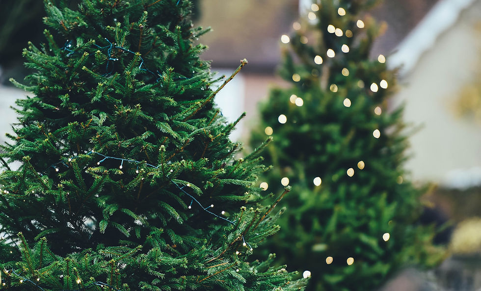 Christmas Lights