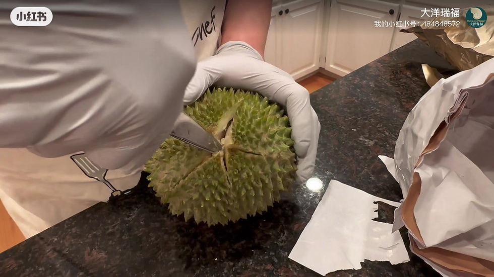 Thumbnail: Musang King Durian, Frozen Trays, Directly Imported to the USA!