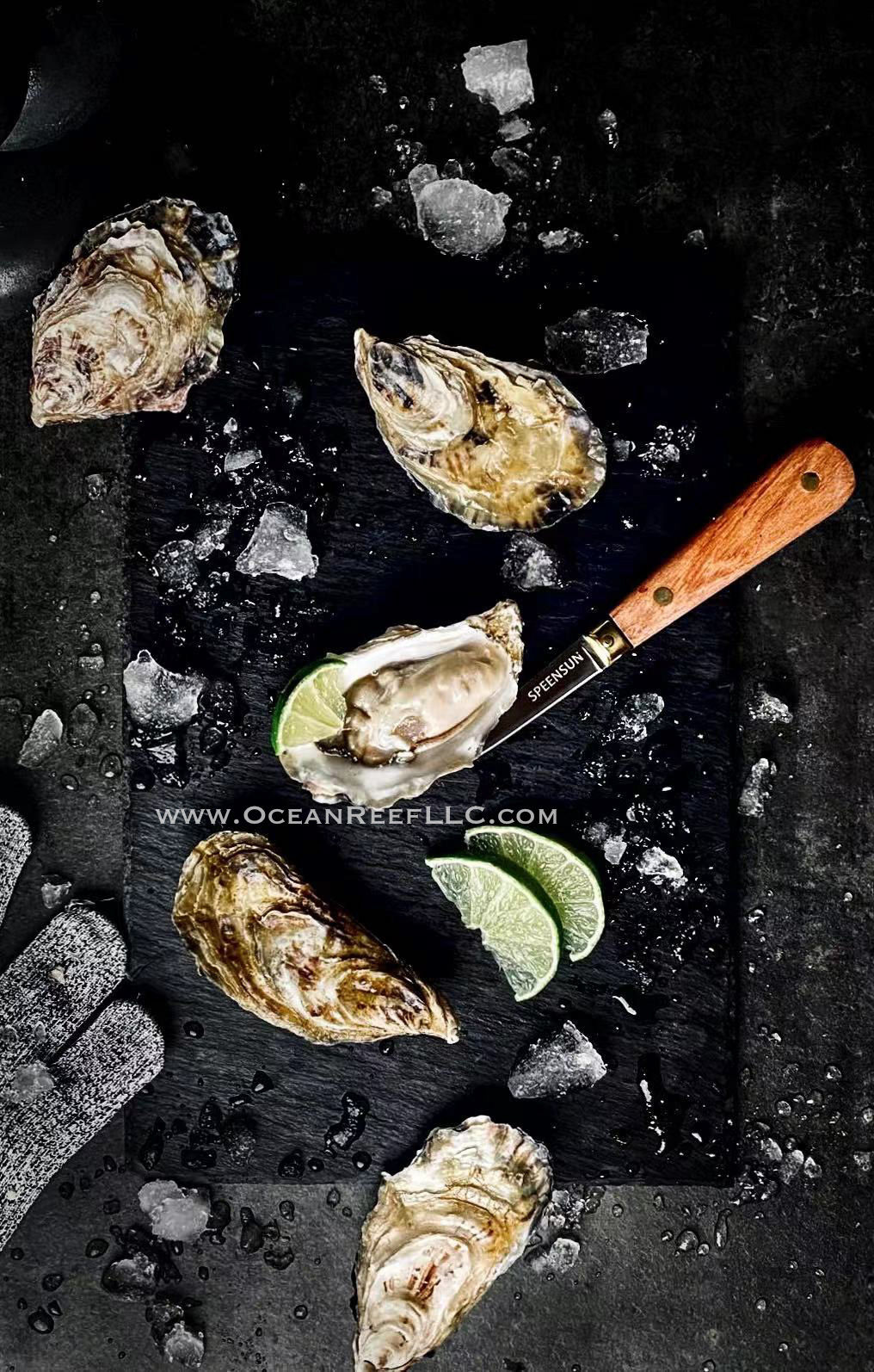 Alaska Golden Oysters