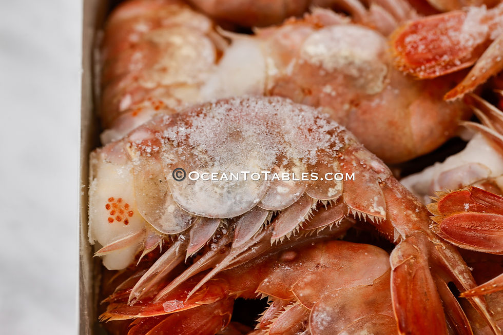 Thumbnail: Frozen Wild Caught Alaska Sweet Prawns