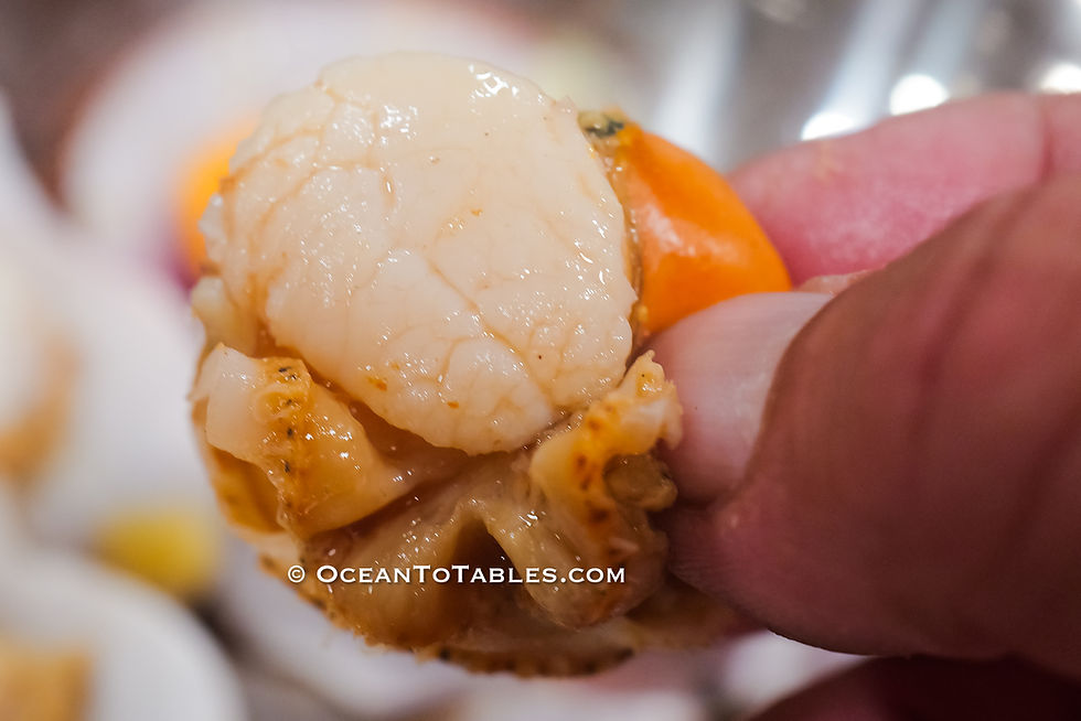 Thumbnail: Canadian Wild Iceland Scallops