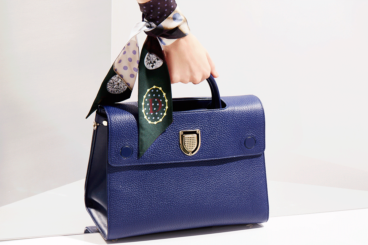 Dior Scarfs & bag