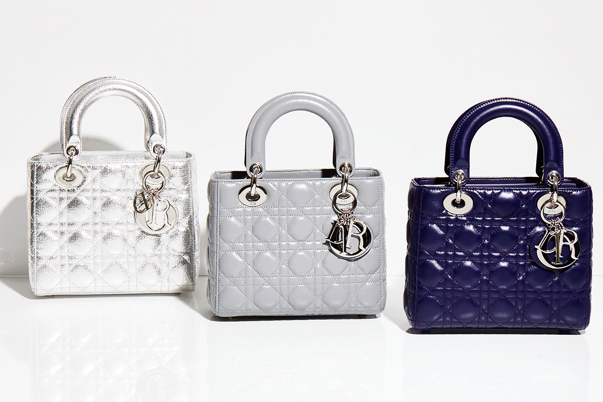 Dior Bags playing