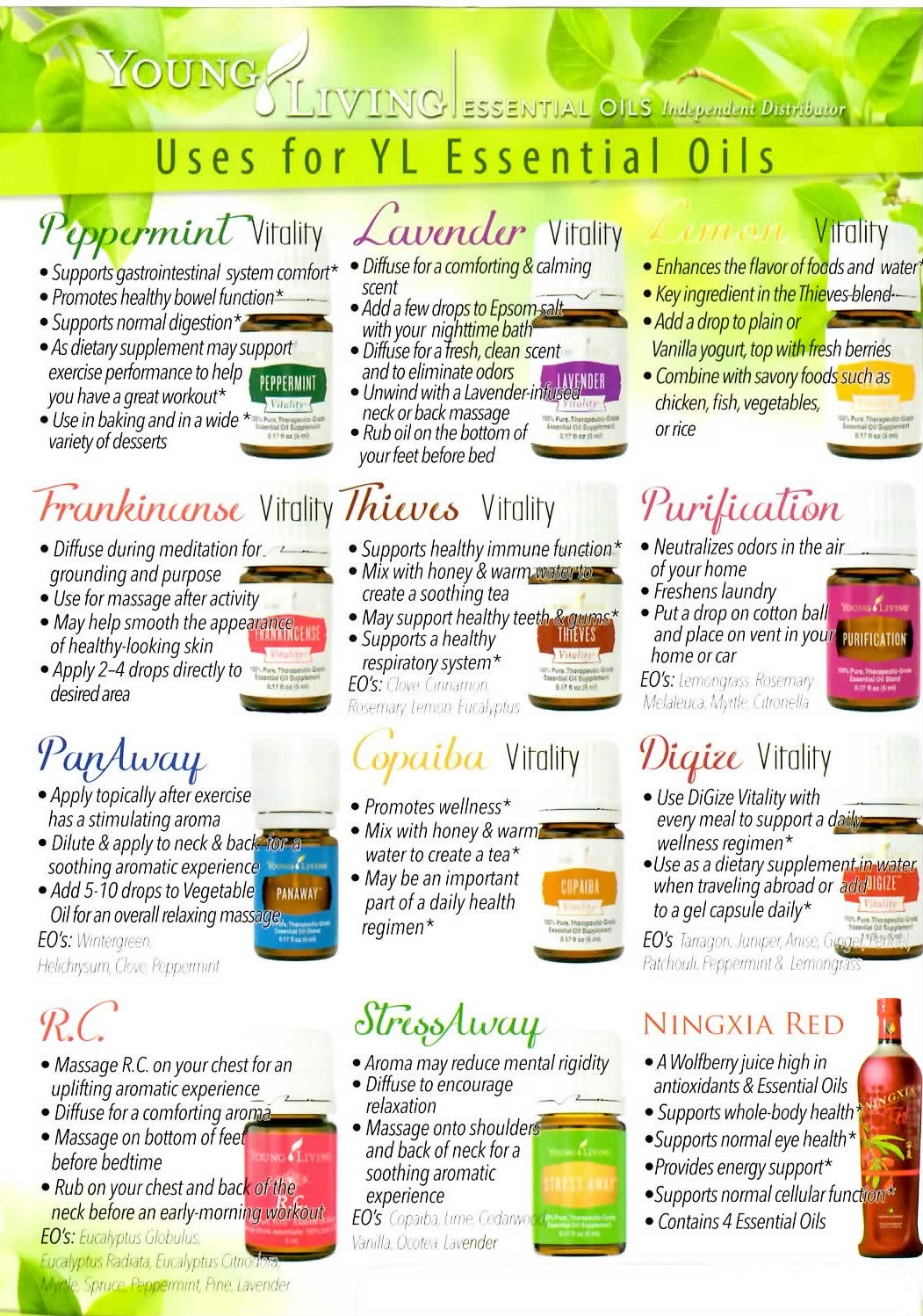 Young Living ENGLISH / SPANISH ~ MOST COMMON USES ~ Flier
