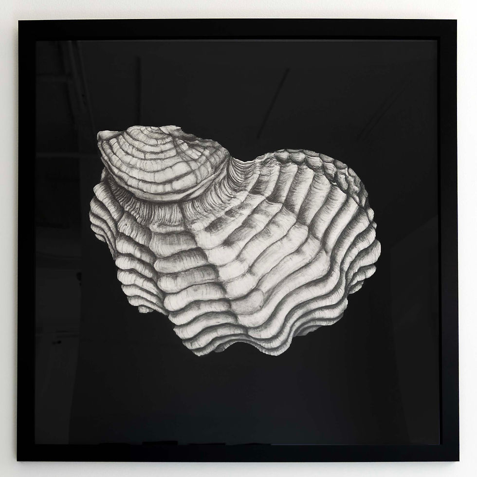 Thumbnail: Drawing of Selected Grain (4)