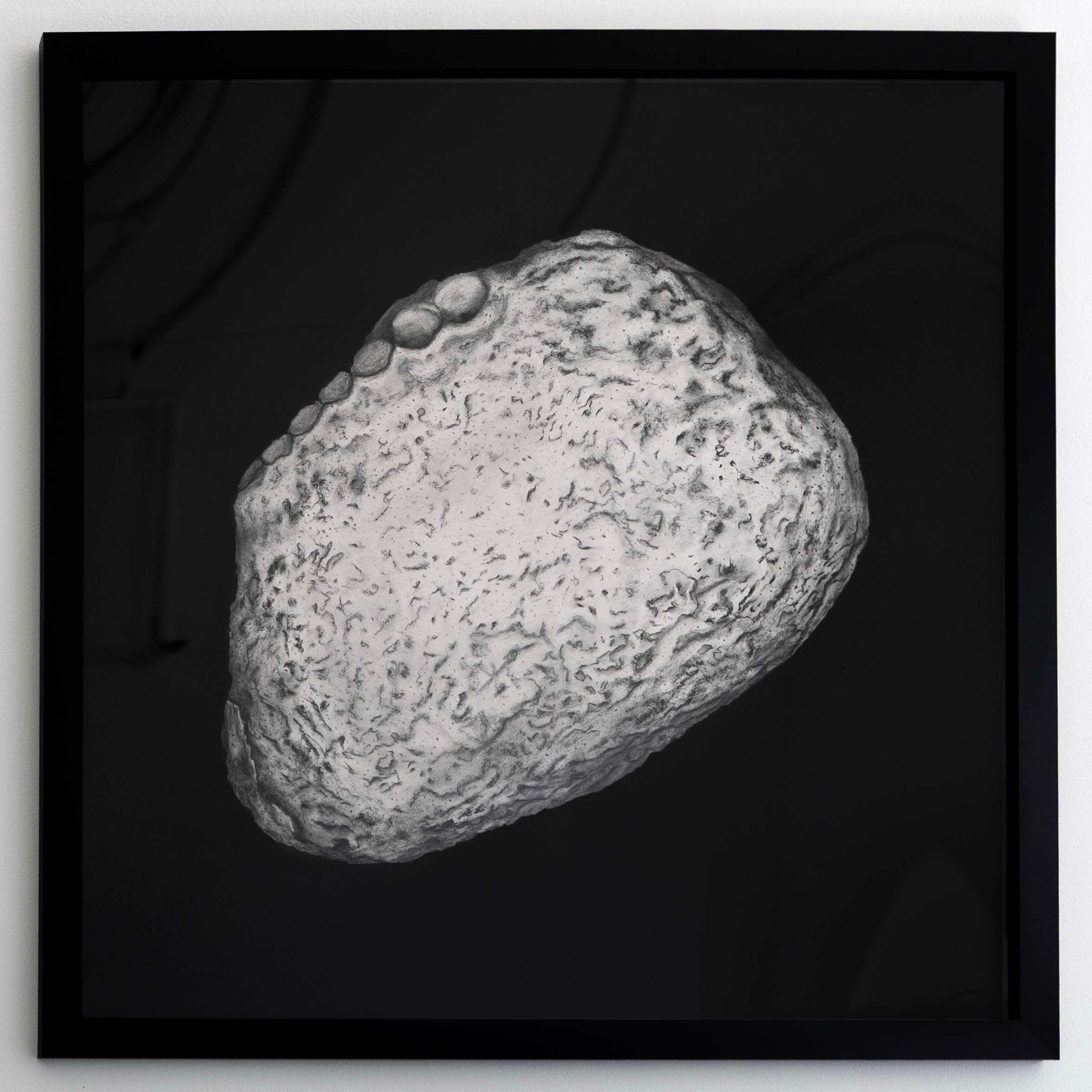 Drawing of Selected Grain (3)