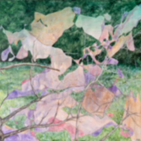 Michelle Schilling - Woodland Bloom