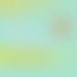 Интервью Бондарева С. А., директора "Центра Песталоцци"