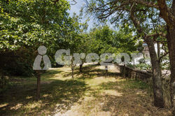 RD Zbýšov Reality Gregor-6