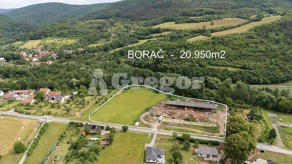 Pozemek Borač.jpg