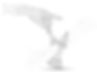 AdobeStock_264717297.jpeg