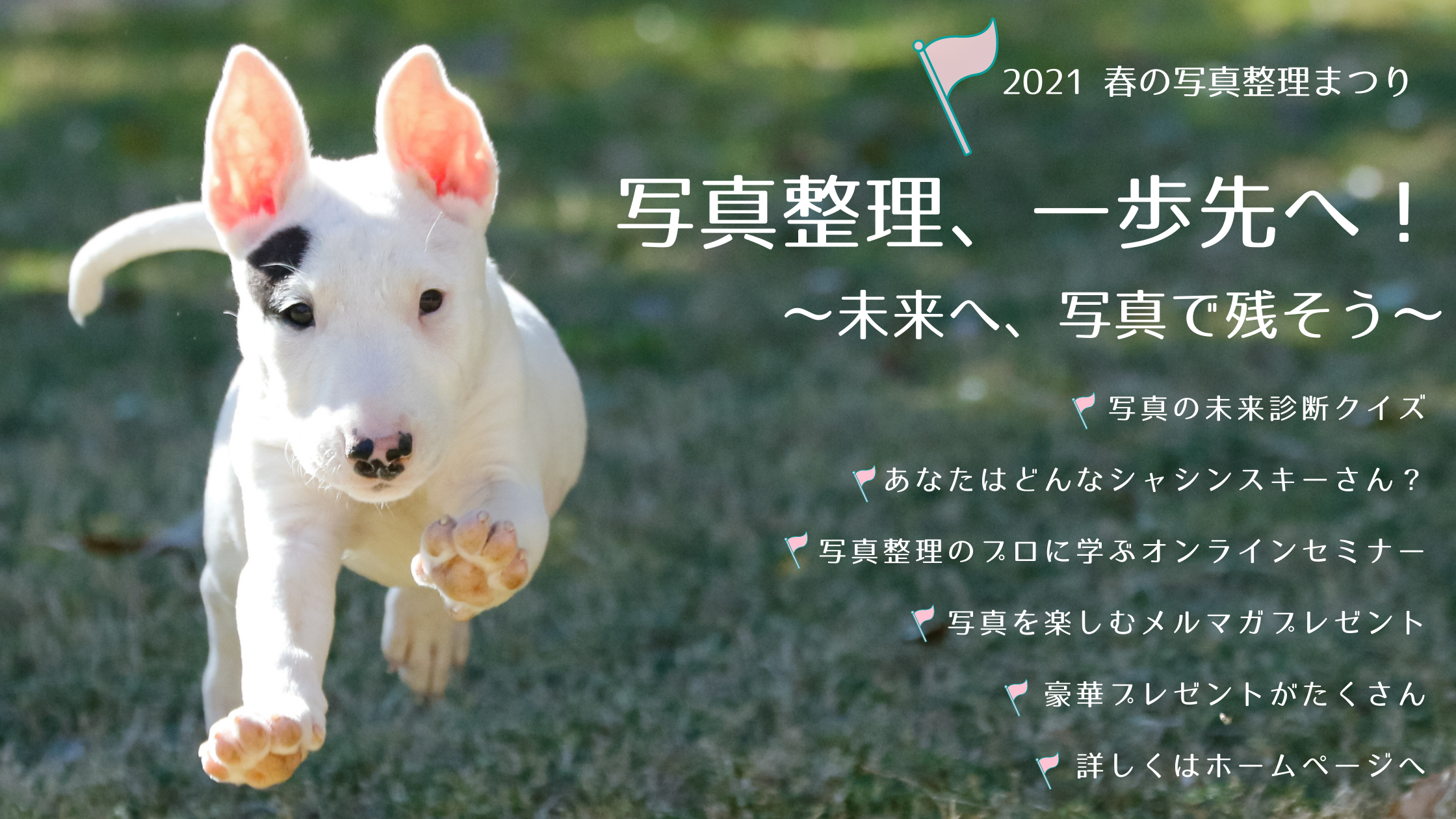 21春の写真整理まつり 写真整理協会