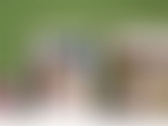 1/31 KBC九州朝日放送の番組にアドバイザーが出演します