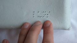 Gardar comida en Braille, 2013