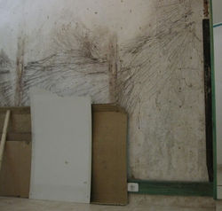 A Casa de Alá Abaixo, 2012.