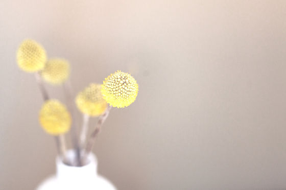 RETREAT MEDITATION ACHTSAMKEIT SCHWEIGE DETOX SCHWEIZ YOGA