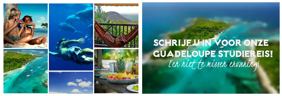 bannerguadeloupe.jpg