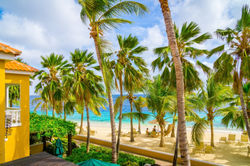 Harbour Village Bonaire
