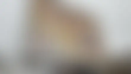 Affiche Réferendum toilettes publiques à La Courneuve