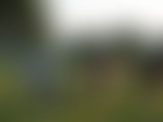 « Une forme de solidarité » : Nanterre préfère les laitiers du Cotentin à Lactalis pour ses cantines