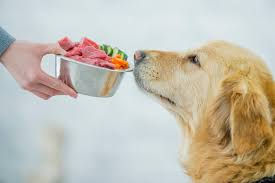 dog food.jpg