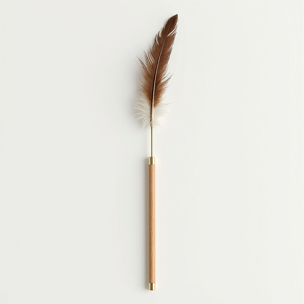 Feather Wand Toy