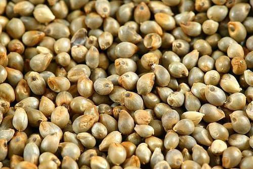 Pearls Millets