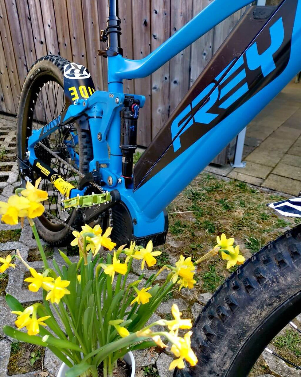 Ausschnitt eines blauen E-Bikes neben gelben Osterglocken.