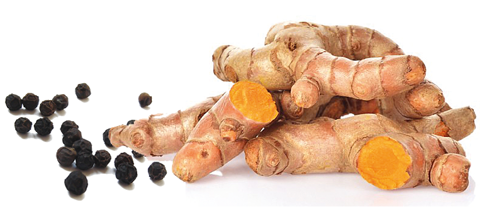 Miniature : PILULE CURCUMA