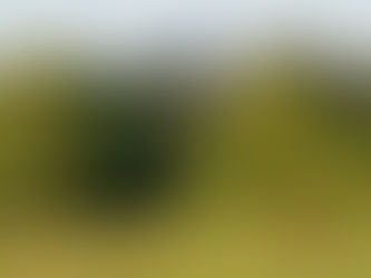 Bis Ende 2022 kein Unterricht