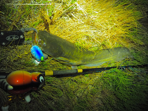 ORCA fishing rod [JADE FEATHER54]ベイトモデル | orca