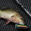サムネイル： ORCA　fishing rod [new ANT MARCH8 feather]ベイトモデル