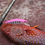 サムネイル： ORCA　fishing rod [new ANT MARCH8 feather]ベイトモデル