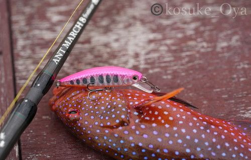 ORCA fishing rod [new ANT MARCH8 feather]ベイトモデル | orca