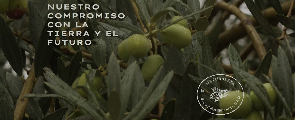 sostenibilidad_celler